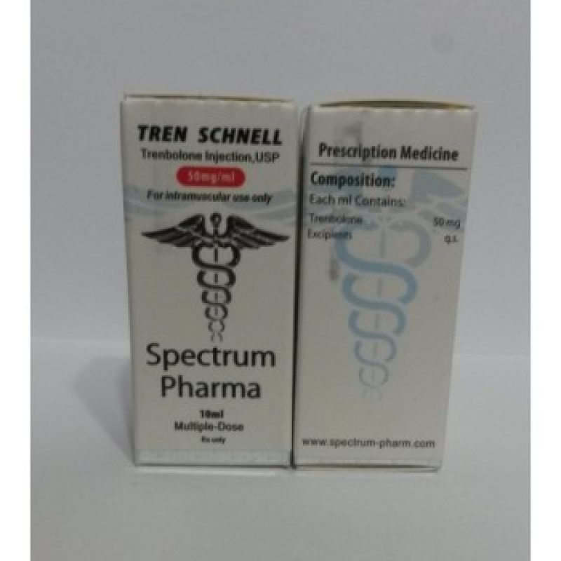 TREN SCHNELL-500x500-400x350