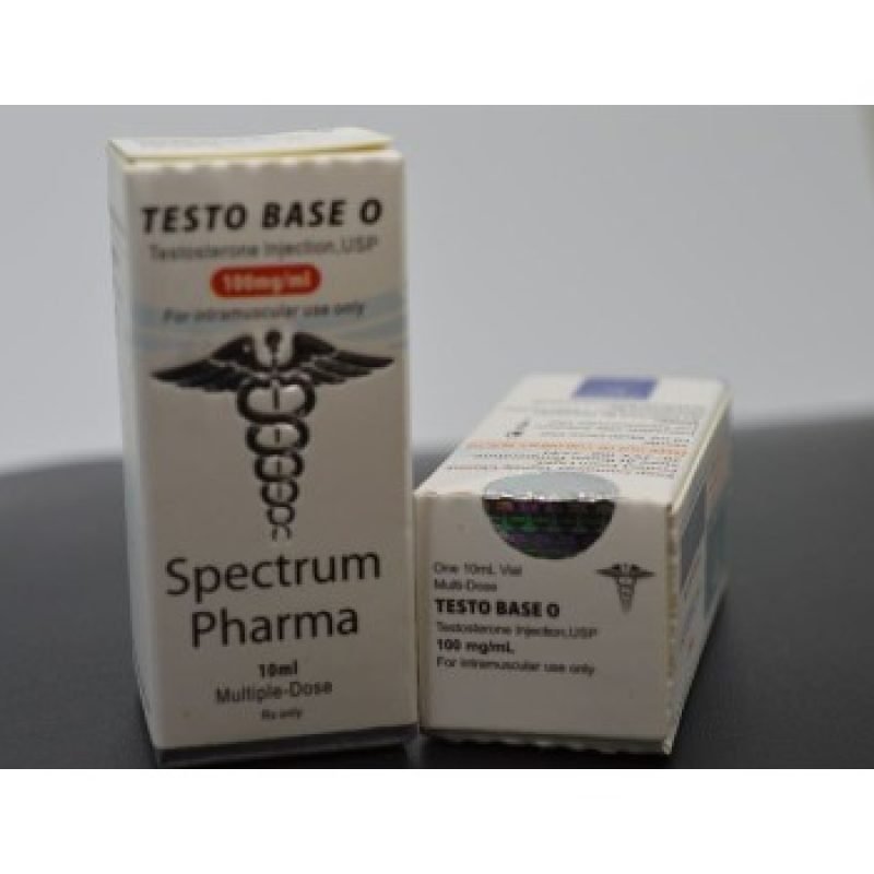 testo-base-sp-400x350