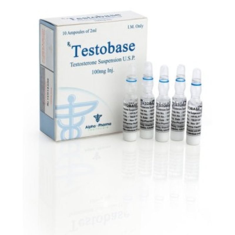 testobase-400x350