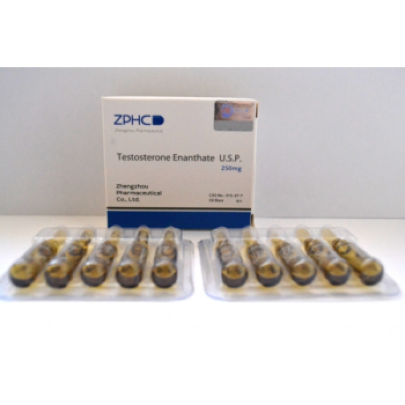 testosterone_enathate_usp_zhengzhou_pharmaceutical-500x500-400x350